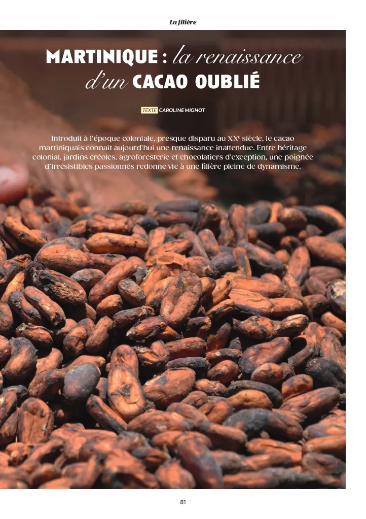 MAG15_PDF HD_pages-complet-82_page-0001.webp